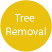 Tree Removal