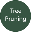 Tree Pruning